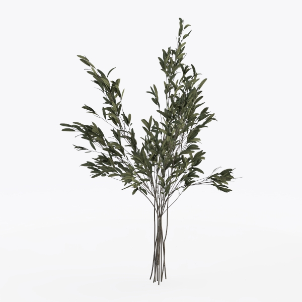 Olive Trees Artificial Indoor, 7FT Tall Faux Olive