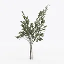 null Left 45 Degree View