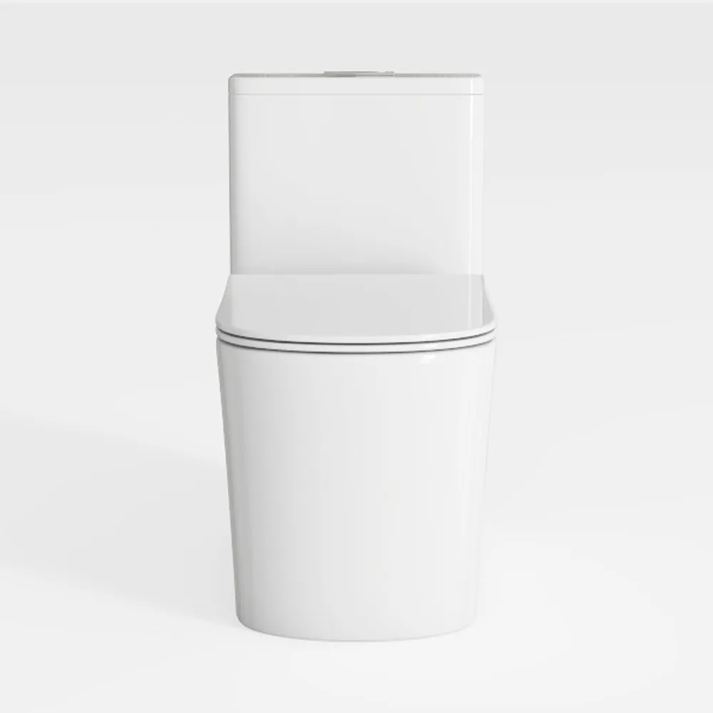 Dual Flush Elongated Standard One Piece Toilet