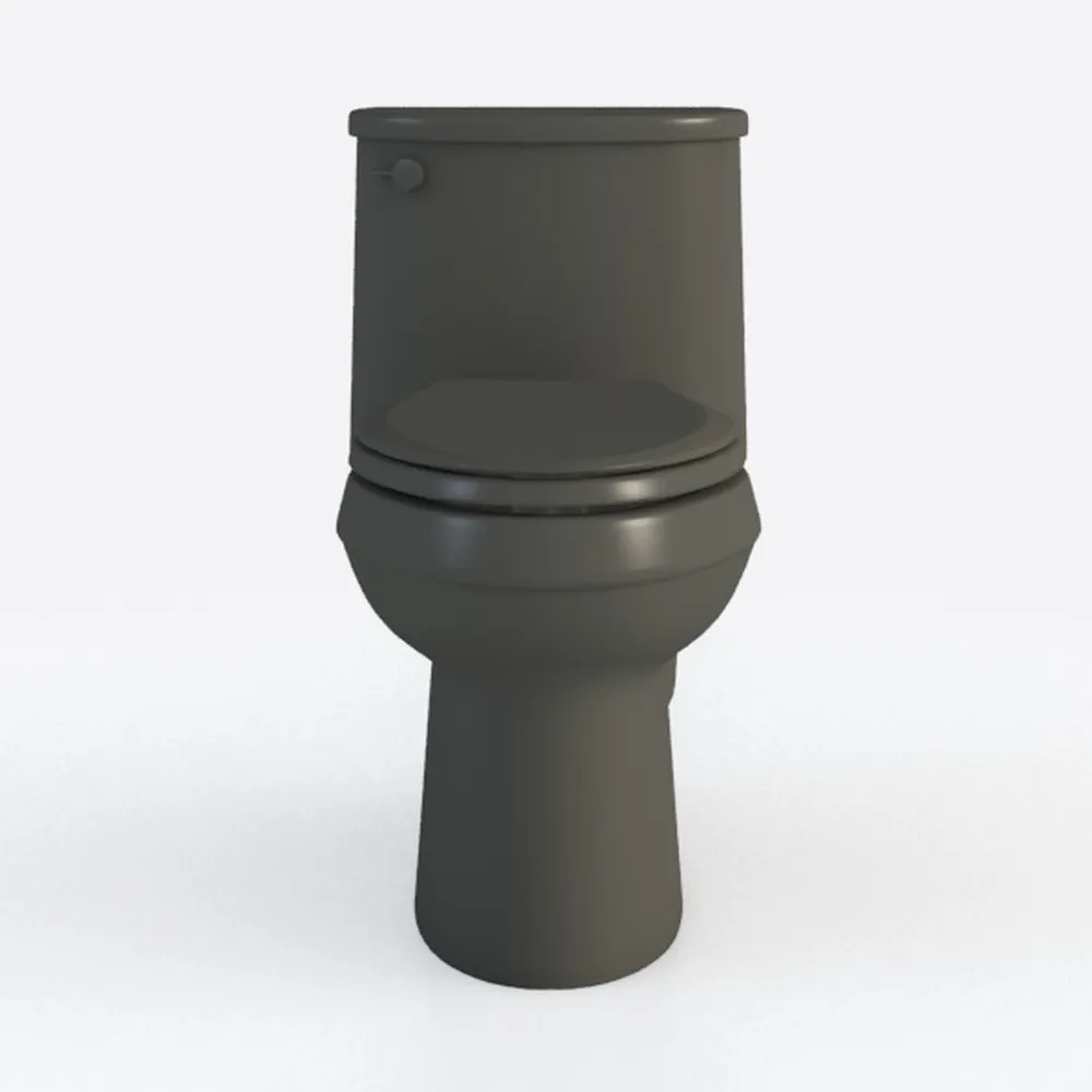 Eridanus Elongated One Piece Toilet with Powerful