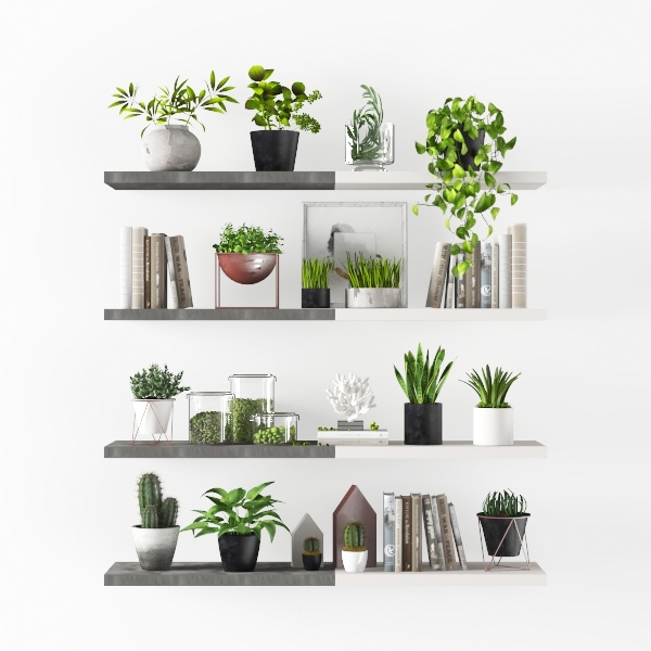wall shelf-Hanging Greens