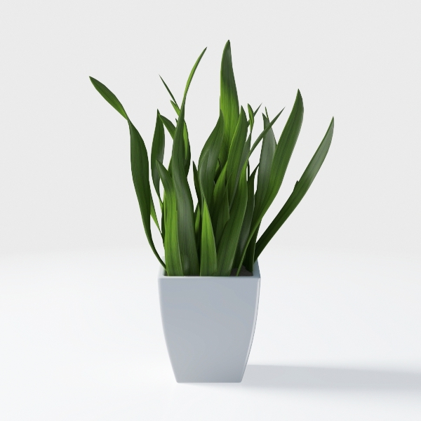 Der Rose 4 Pack Fake Plants Small Artificial Potte