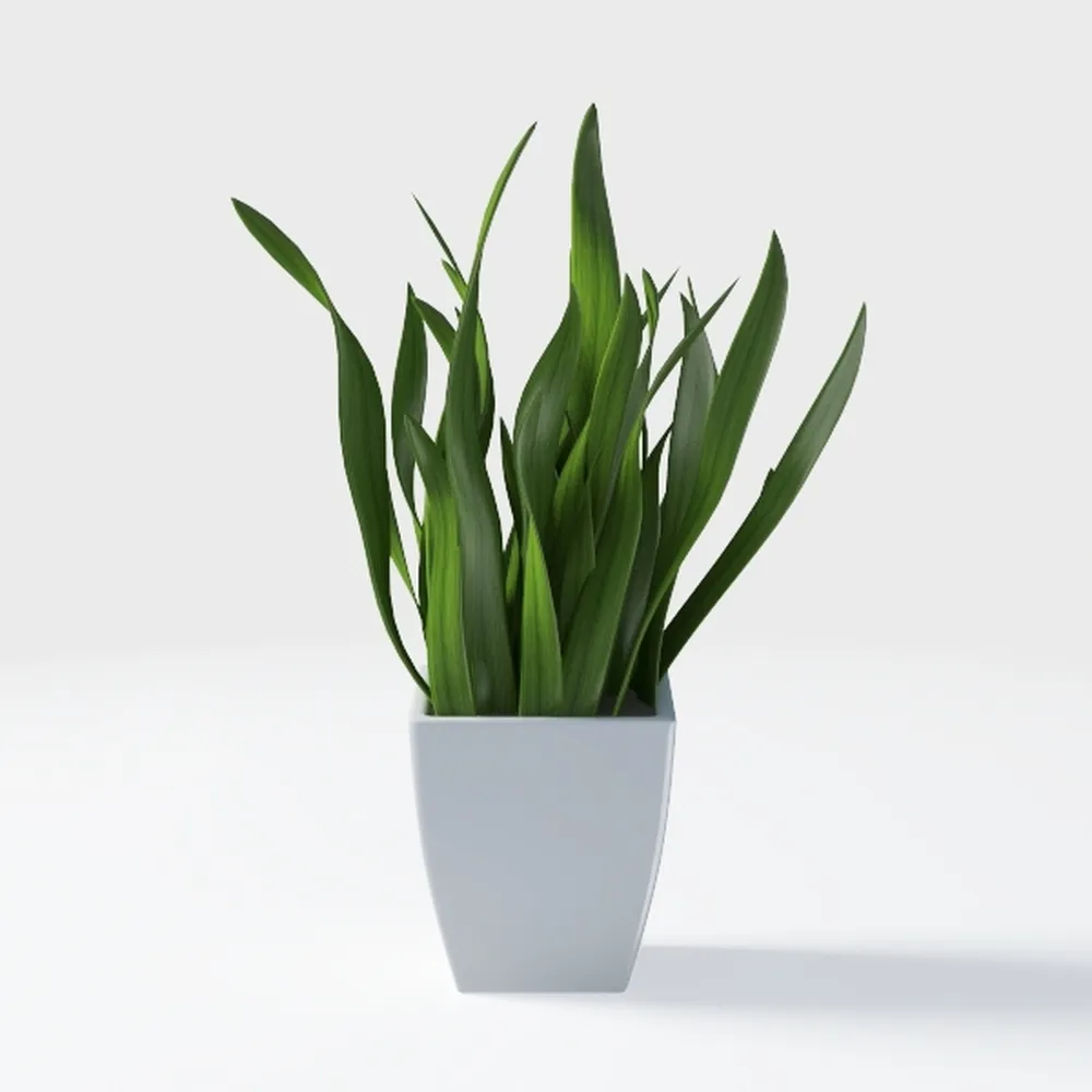 Der Rose 4 Pack Fake Plants Small Artificial Potte