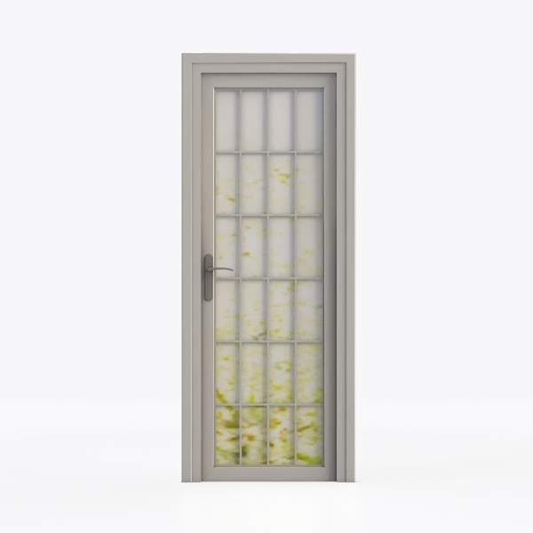 French  Patio Door 