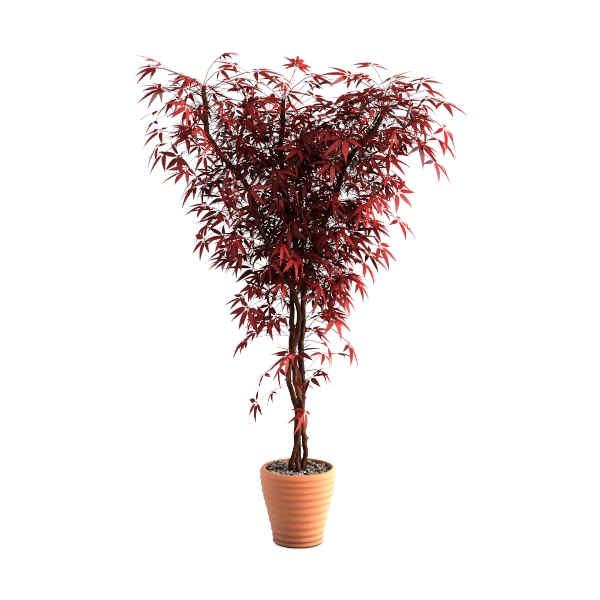 Outdoor Plants Red Bush - Simulated Green Outdoor 