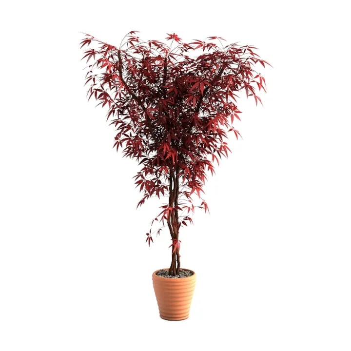 Outdoor Plants Red Bush - Simulated Green Outdoor 