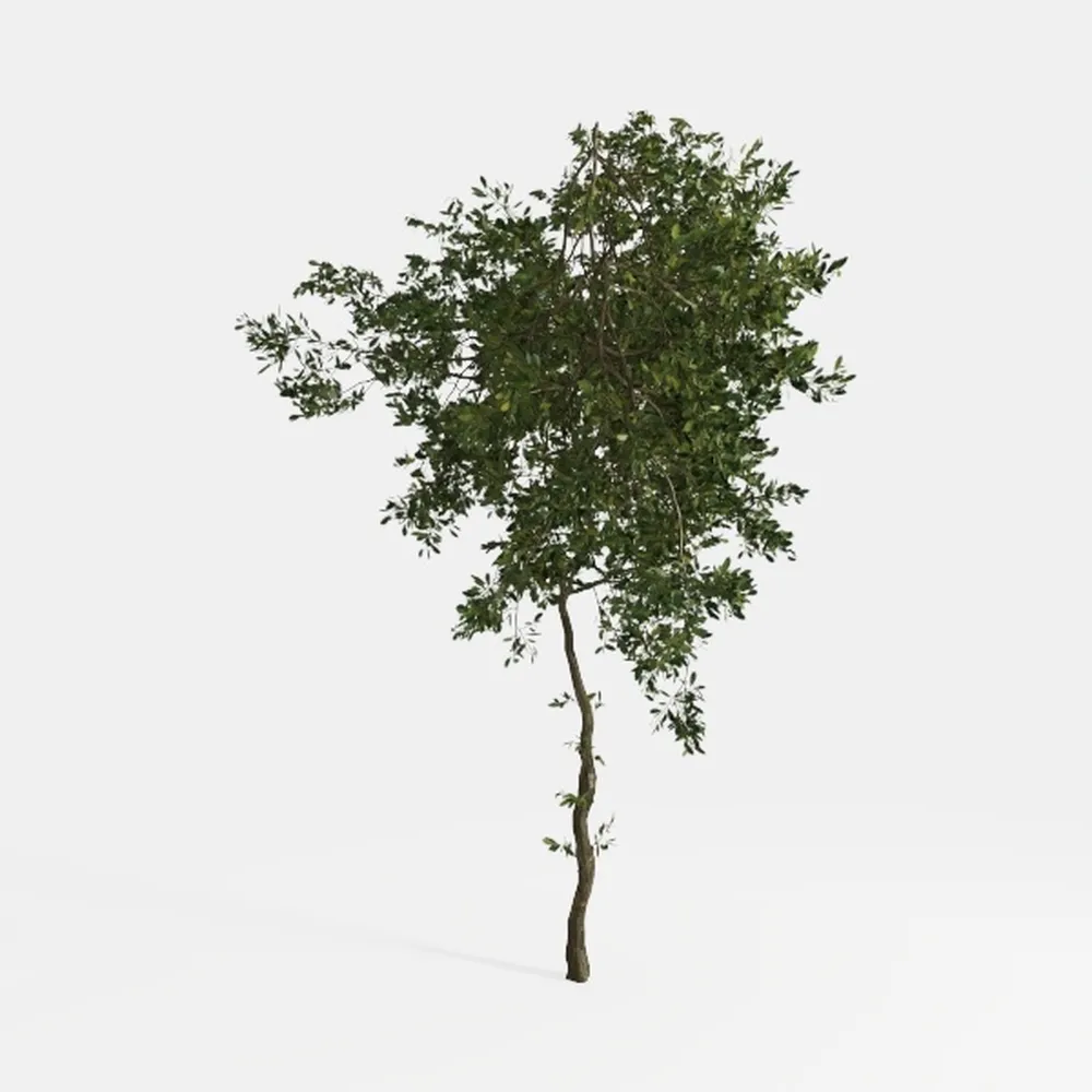 Realead 8ft Tall Faux Olive Tree - Realistic