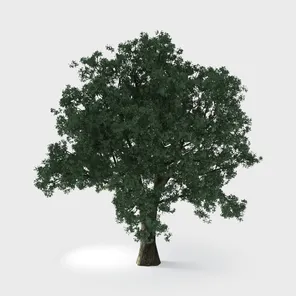 model review img 3