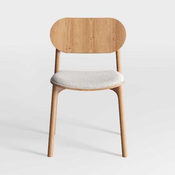 Modern Dining Chairs 1PC, Upholstered Kitchen