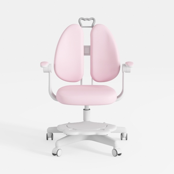 Ergonomic Desk Chair Mid Back Mesh Office Chair Ho