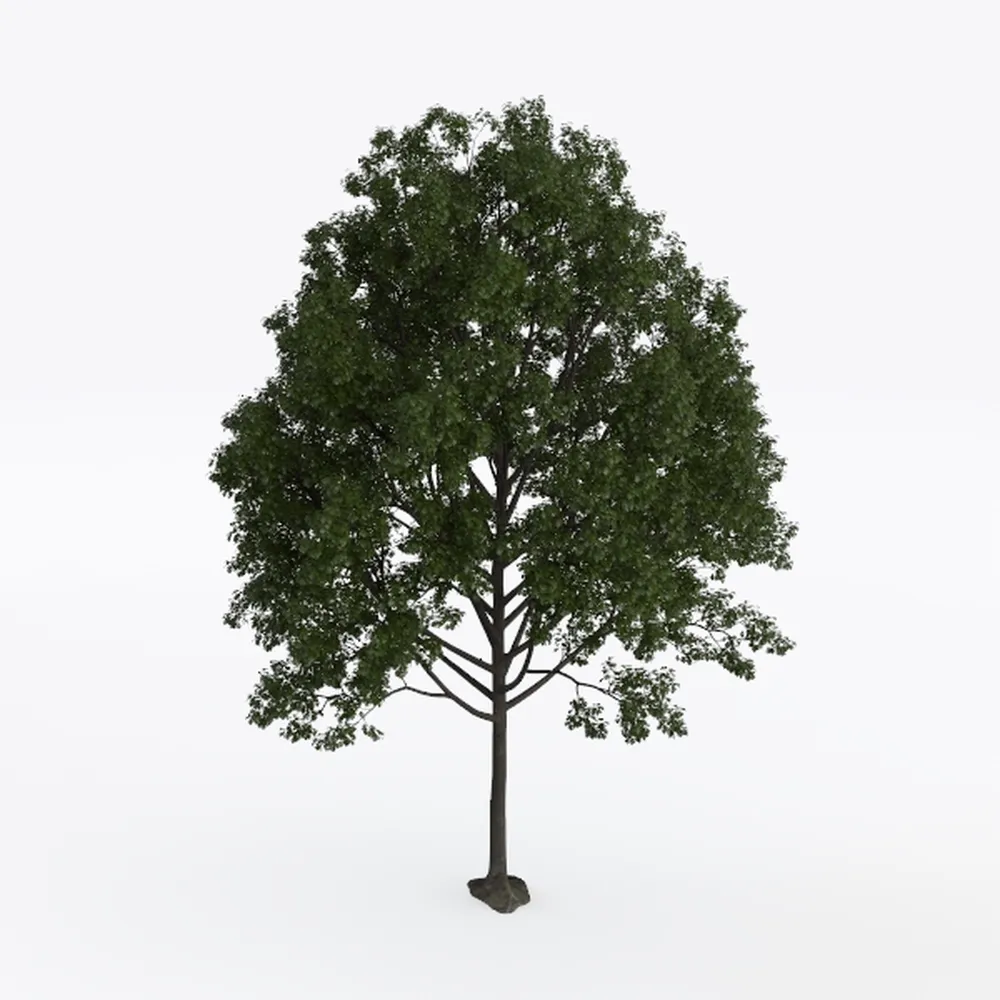 6.23ft Ficus Artificial Fiddle Leaf Tree, Lifelike