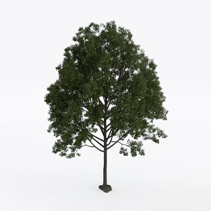 6.23ft Ficus Artificial Fiddle Leaf Tree, Lifelike