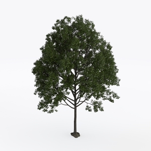 6.23ft Ficus Artificial Fiddle Leaf Tree, Lifelike