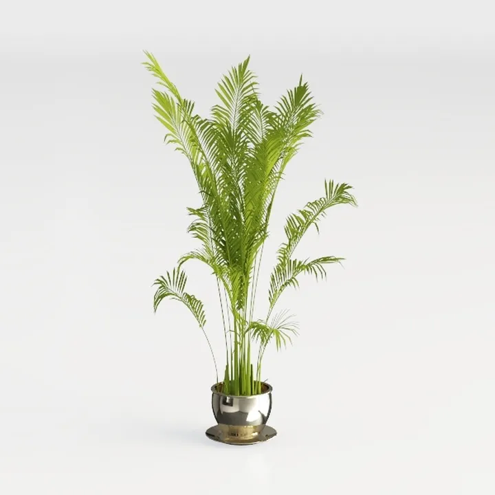 plant-Work from Home