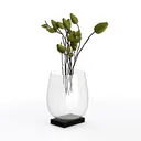 Minimalist Clear Glass Vase with Dried Floral Arrangement 3D Model Left 45 Degree View