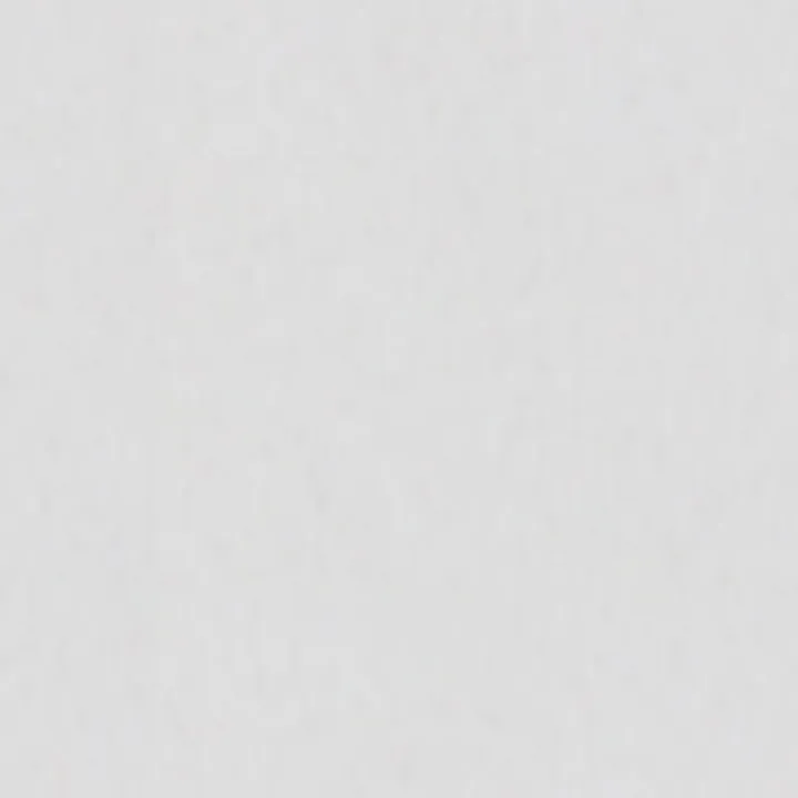 OLO-1008-20
