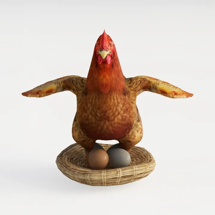 hen-Wild Kingdom