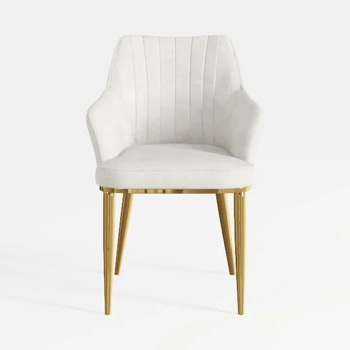 LSSPAID Velvet Accent Chairs, Modern Fabric Uphols