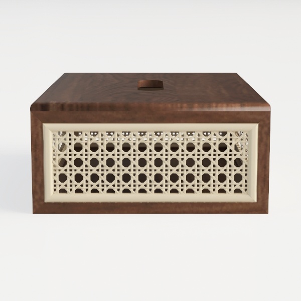 tissue box-Tropical Vibes