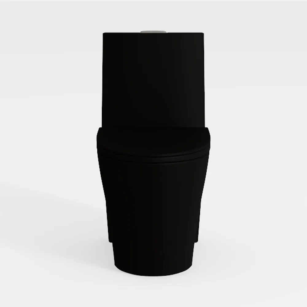 WinZo WZ5079B Compact One Piece Toilet 22.8" Depth