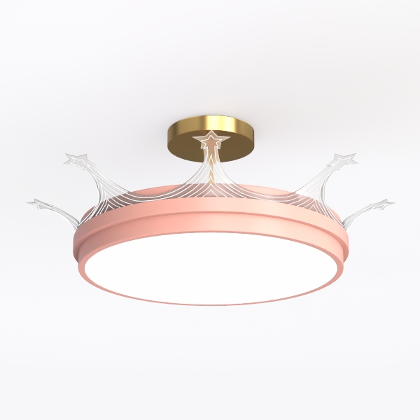 Ceiling Light_292