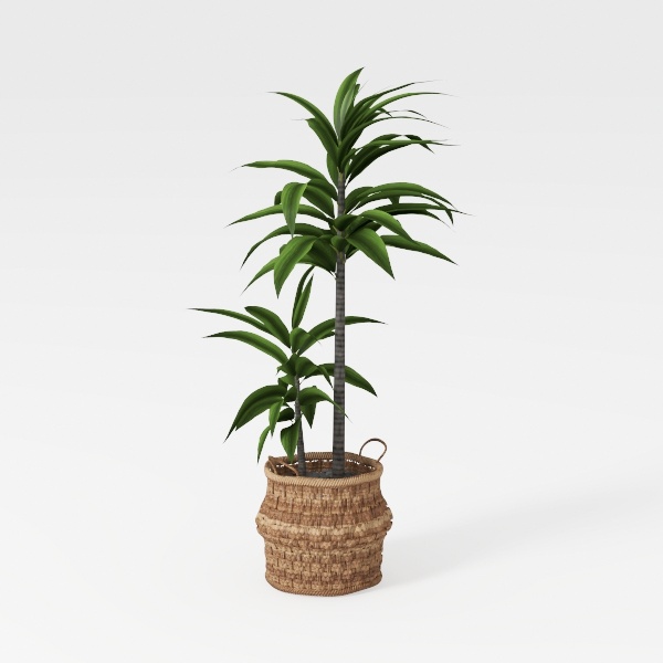 Artificial Plants, 4 Ft Dracaena Tree Faux Plants