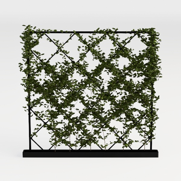 wattle fence-Outdoor Fun