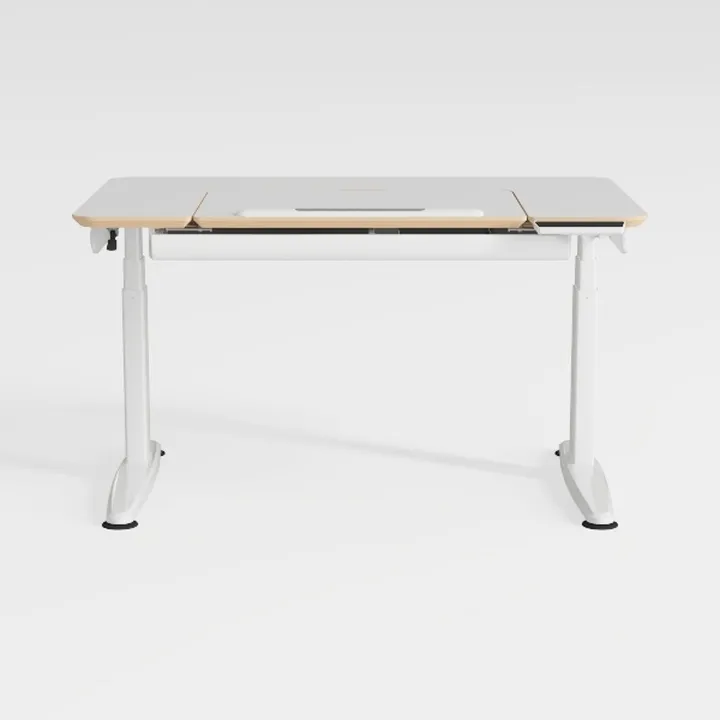 Simple Deluxe Electric Standing Desk, Adjustable
