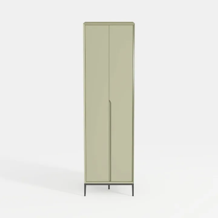 Minimalist Sage Green Tall Cabinet With Metal Legs 3D Model