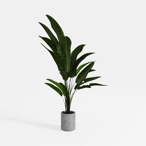 plant-Refined living