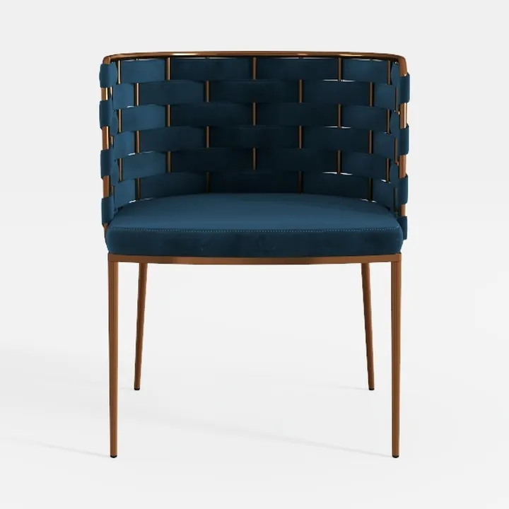 Velvet Dining Chairs Set of 2, Modern Dining Chair
