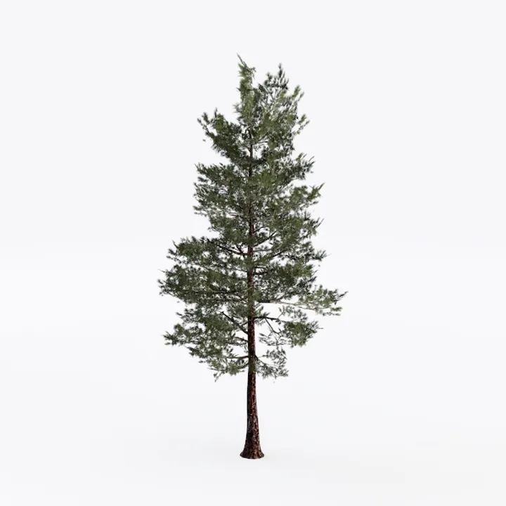 tree-Landscape Greenery