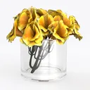 null Left 45 Degree View