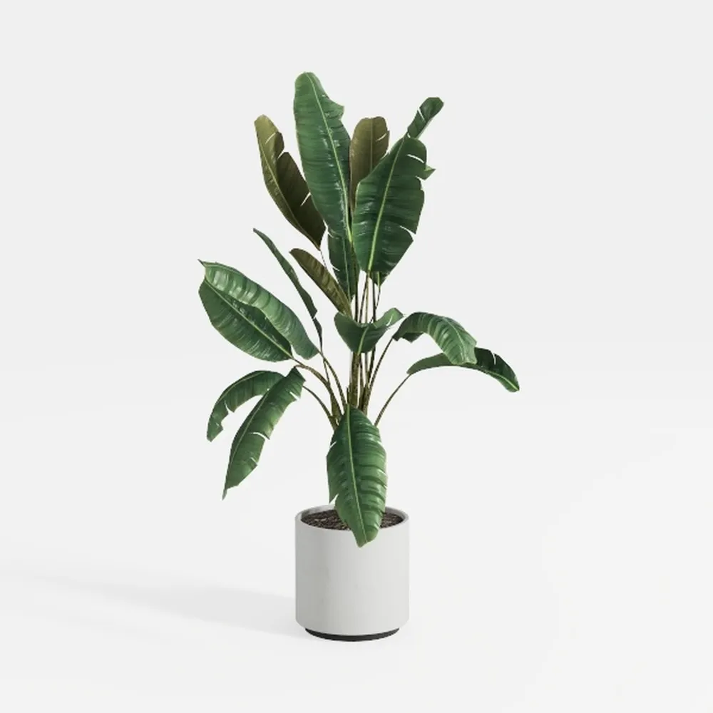 Aritificial Umbrella Schefflera Tree - 6Ft Tall