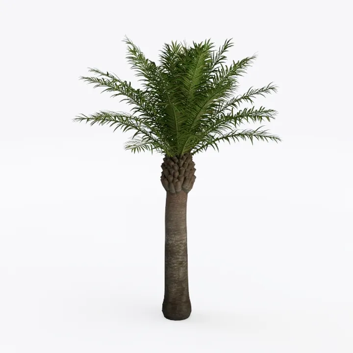 Realistic Artificial Potted Date Palm Tree 3D Model