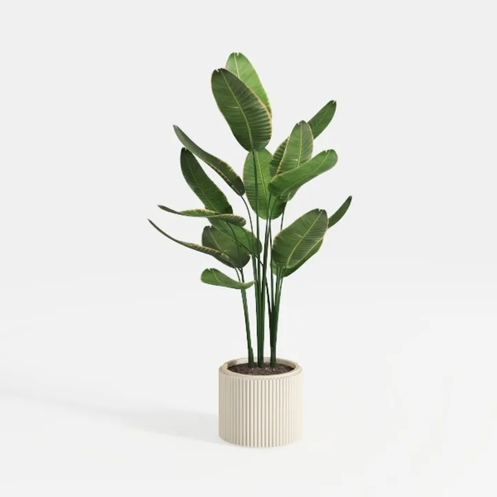 Artificial Monstera Deliciosa Plant 5ft Tall in