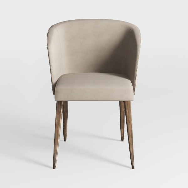 Modern Living Dining Room Chairs, Small Velvet