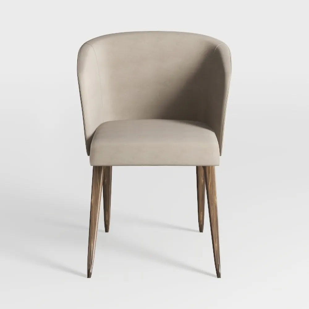 Modern Living Dining Room Chairs, Small Velvet