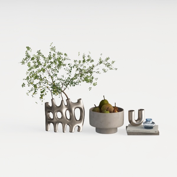 Midnight in Paris-plant