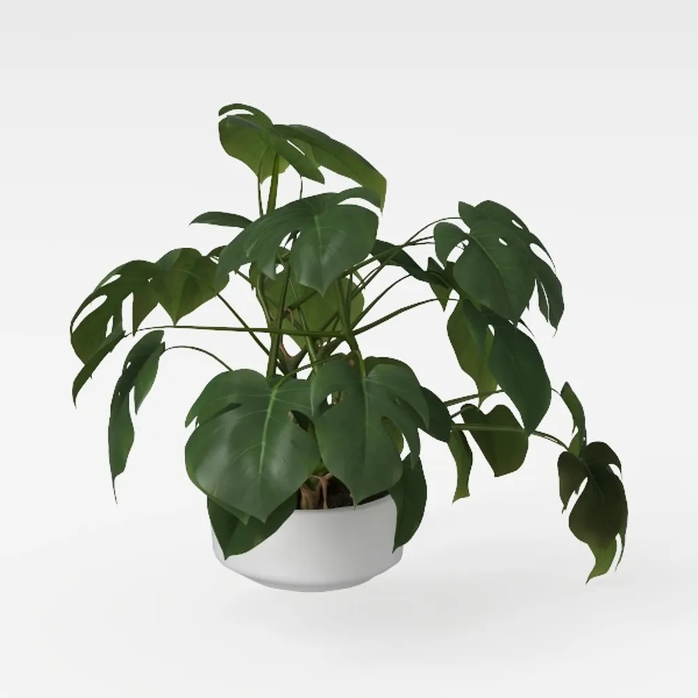 AlphaAcc Artificial Plants Decor Greenery Fake Suc