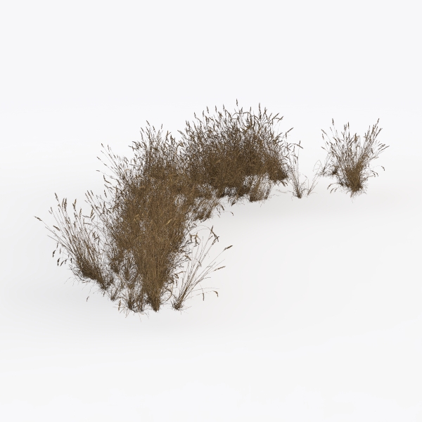 bushes-Landscape Greenery