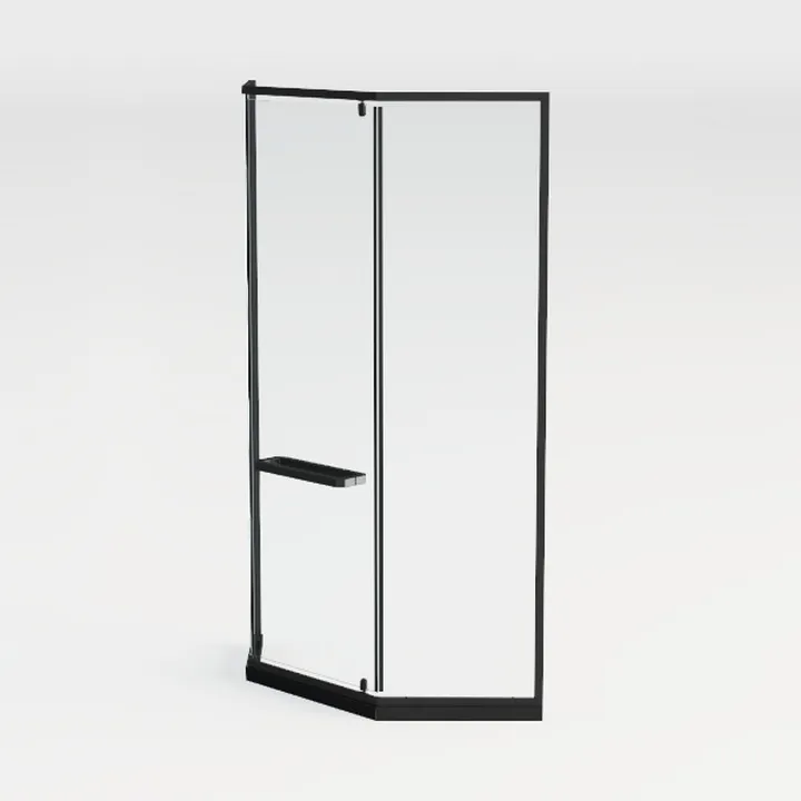 Shower Door 3