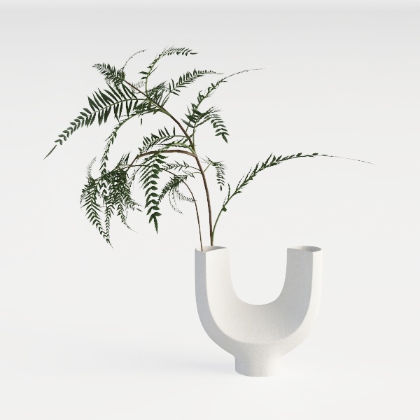 Designer Plant-72