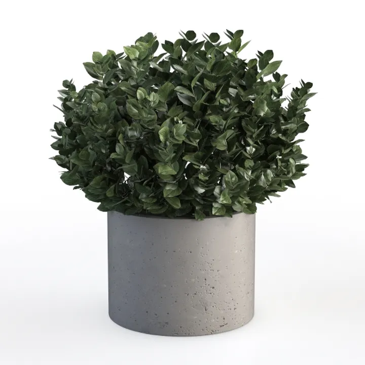 Concrete Potted Green Bush Indoor Decor 3D Model