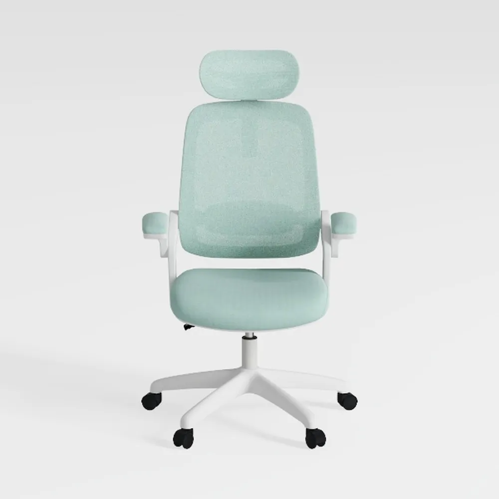 FLEXISPOT Foldex Ergonomic Office Chair, Folding