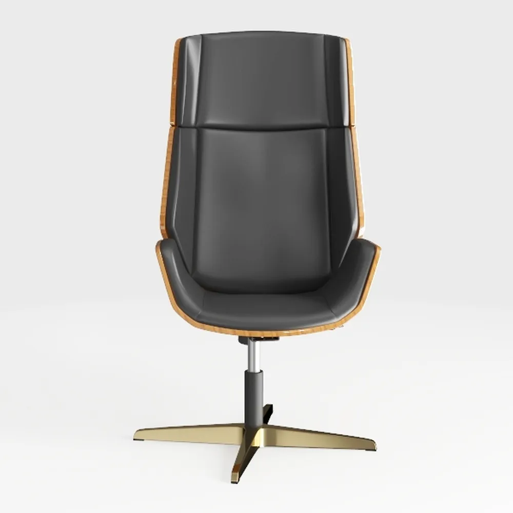 Computer Chair Simple Ergonomic Rotating Lifting C