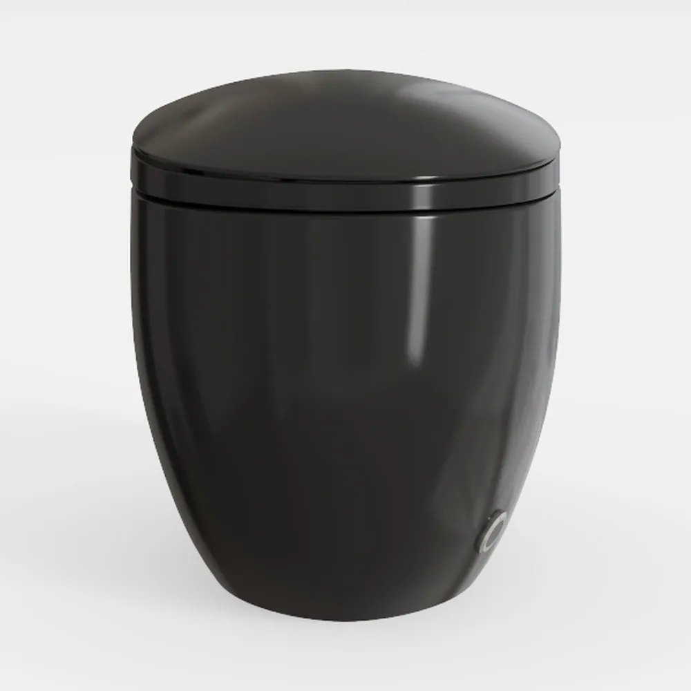 WinZo Luxury Smart Toilet With Bidet Seat