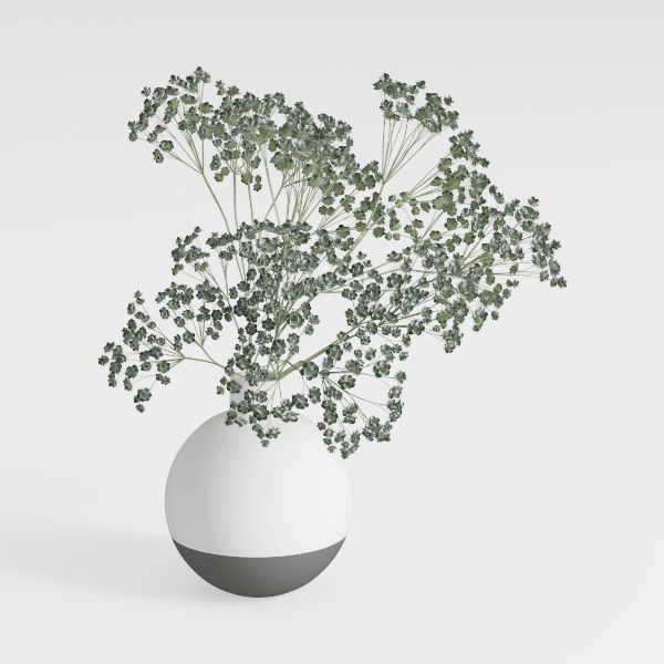 plant-Greenery Delights