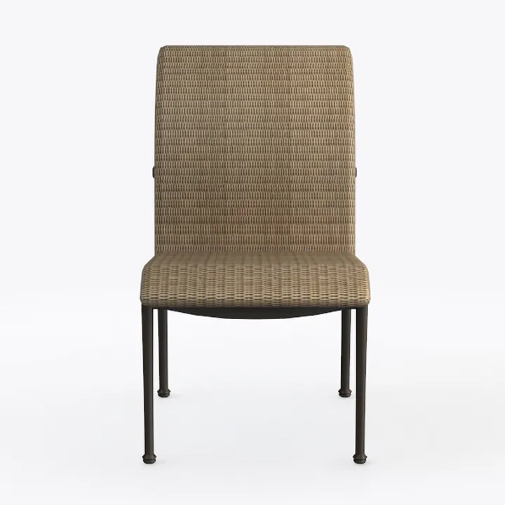 Rattan Metal Frame Modern Dining Chair 3D Model