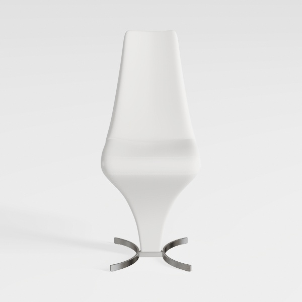 Dining Chairs Set of 2, Modern Kitchen Dining Room